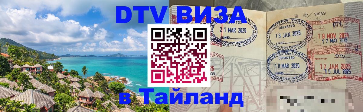Сколько стоит DTV виза — актуальные цены, оформление даже без документов - 20.11.2025 